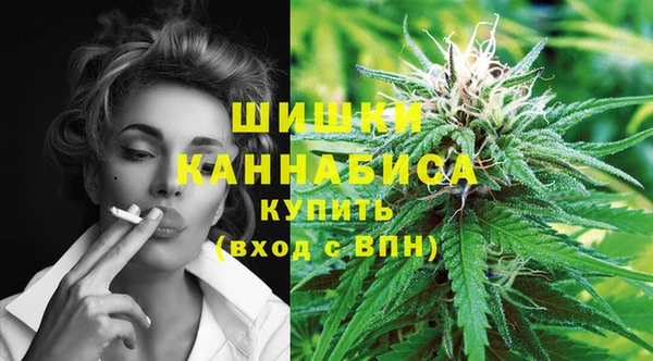 молекула духа Белоозёрский
