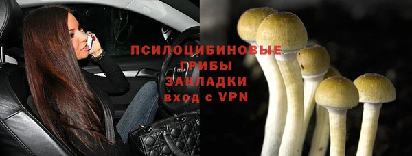 молекула духа Белоозёрский