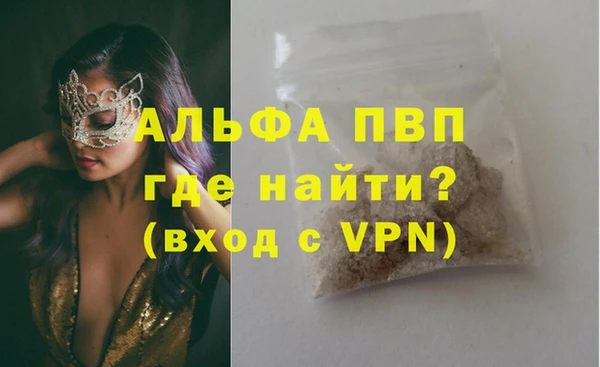 молекула духа Белоозёрский