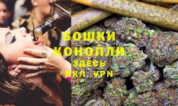 молекула духа Белоозёрский