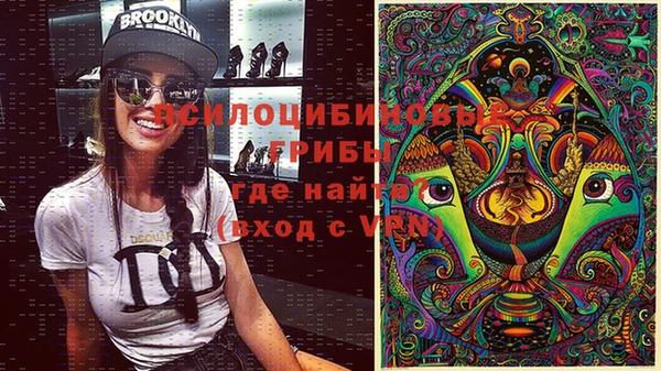 соль курить ск Белокуриха