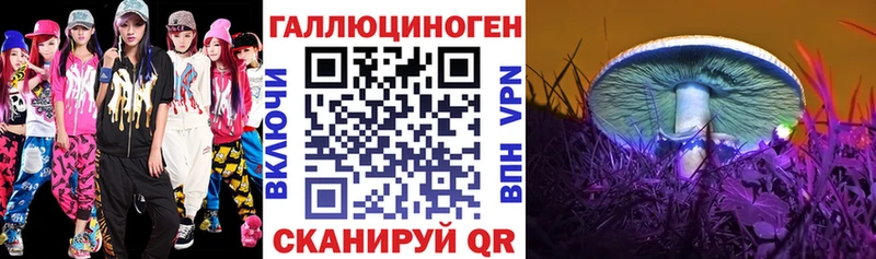 что такое наркотик  Шатура  Галлюциногенные грибы Psilocybine cubensis 