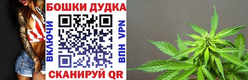 Канабис Amnesia  Шатура 